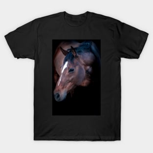 Champion Mare T-Shirt